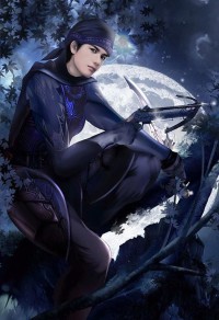 完美至尊